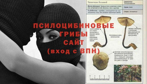 дмт Магадан