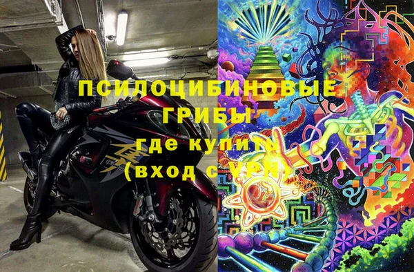 тгк Медвежьегорск