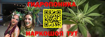 мдпв Заволжье