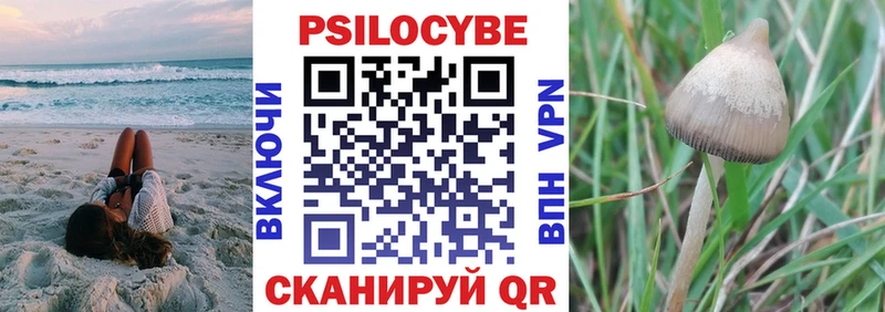 OMG ссылка Переславль-Залесский Галлюциногенные грибы Psilocybe магазин наркотиков