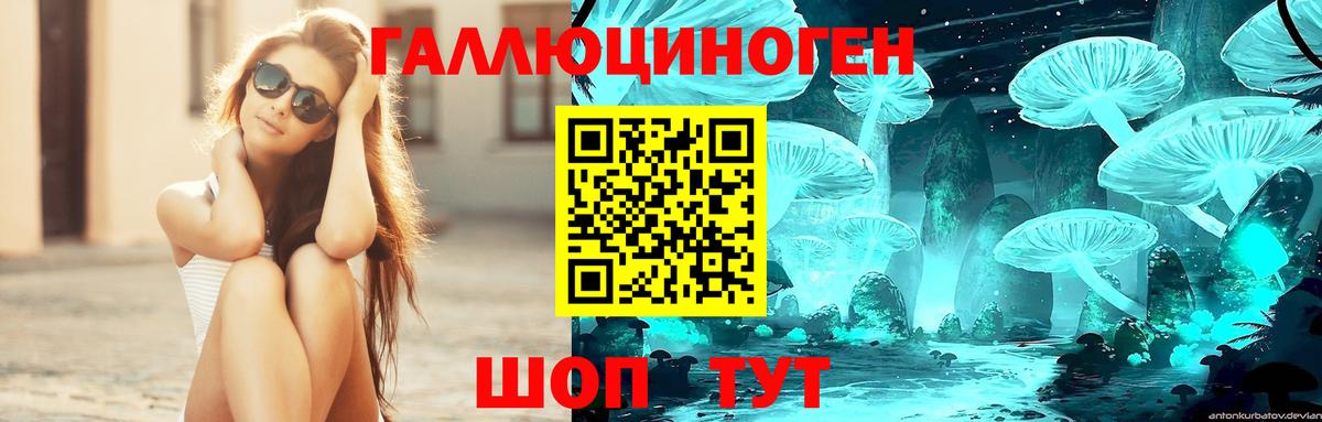 Галлюциногенные грибы Cubensis  Переславль-Залесский 