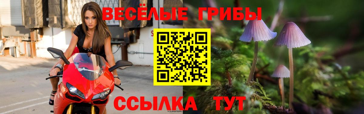 Галлюциногенные грибы MAGIC MUSHROOMS Переславль-Залесский